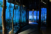 museum dhistoire naturelle blois 8-2025 2292